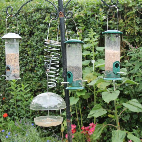 How to Attract Birds with a Hanging Bird Feeder in 2023